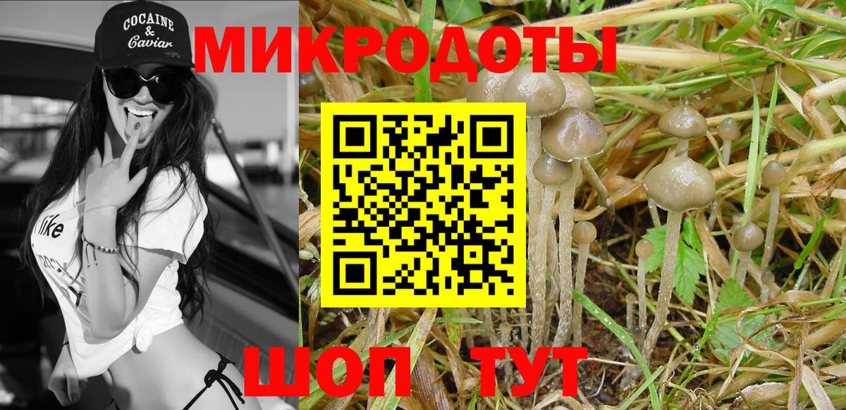 Галлюциногенные грибы мухоморы  Вход с VPN  Псилоцибиновые грибы Psilocybe  Удомля 